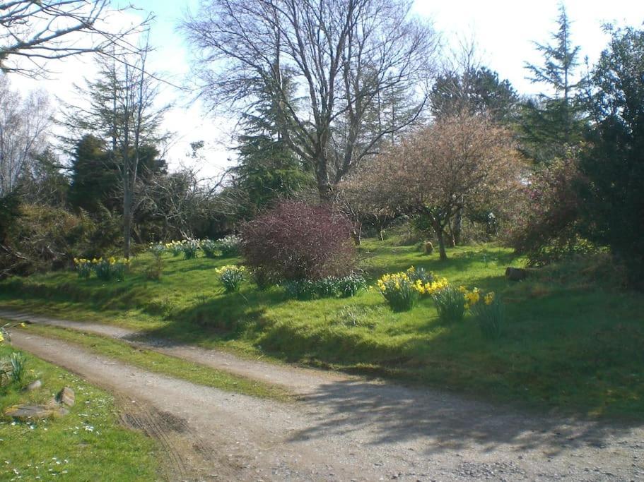 Innisfreedom Cabin Sligo Luaran gambar