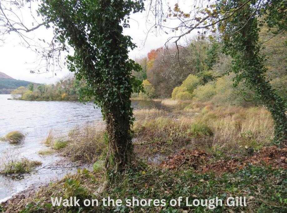 Innisfreedom Cabin Sligo Luaran gambar